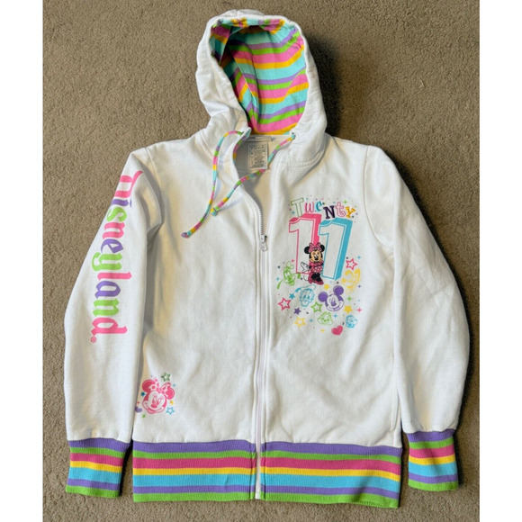 Disney World Sweatshirt Hoodie Large 2011 Mickey Minnie Goofy Pluto Embroidered - Picture 1 of 12